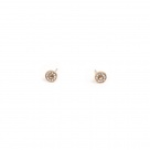Basic Earrings