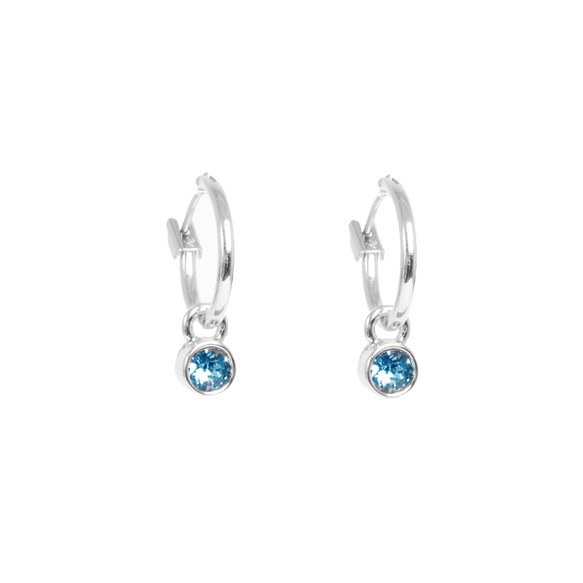 Blue tones Earrings