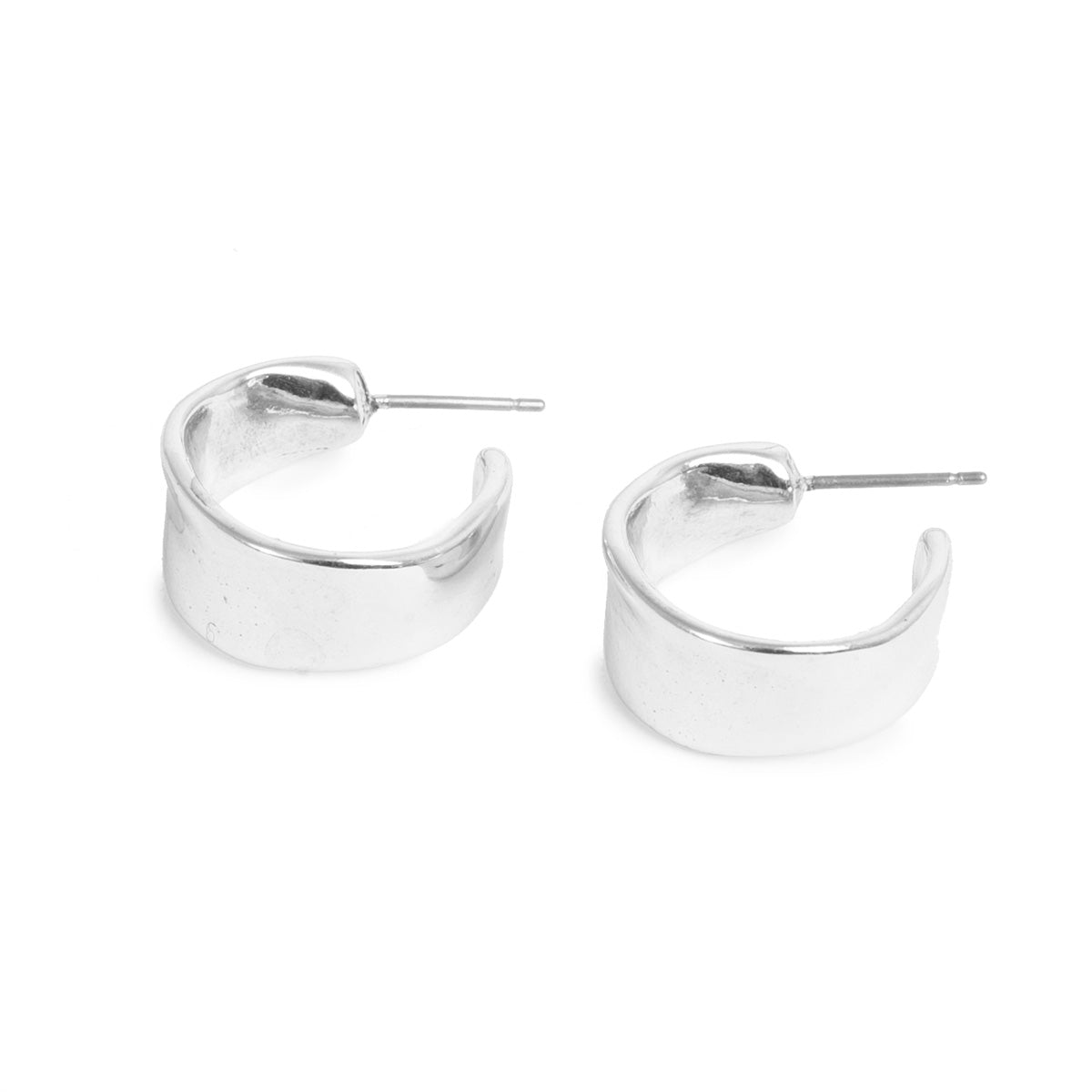 Sculptured Earrings