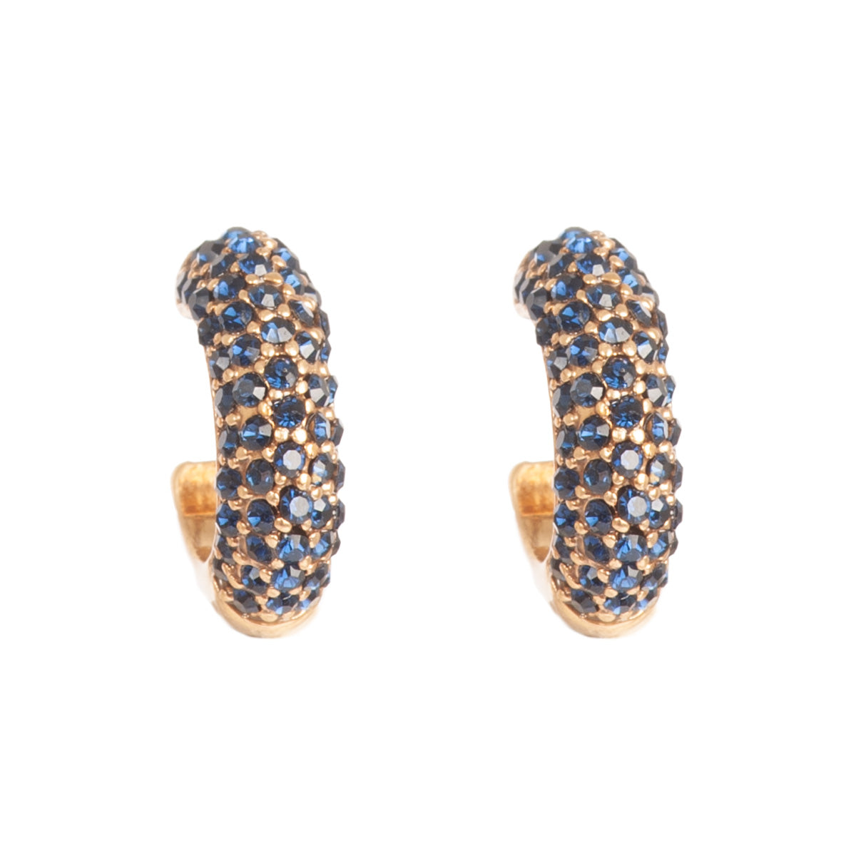 Blue tones Earrings