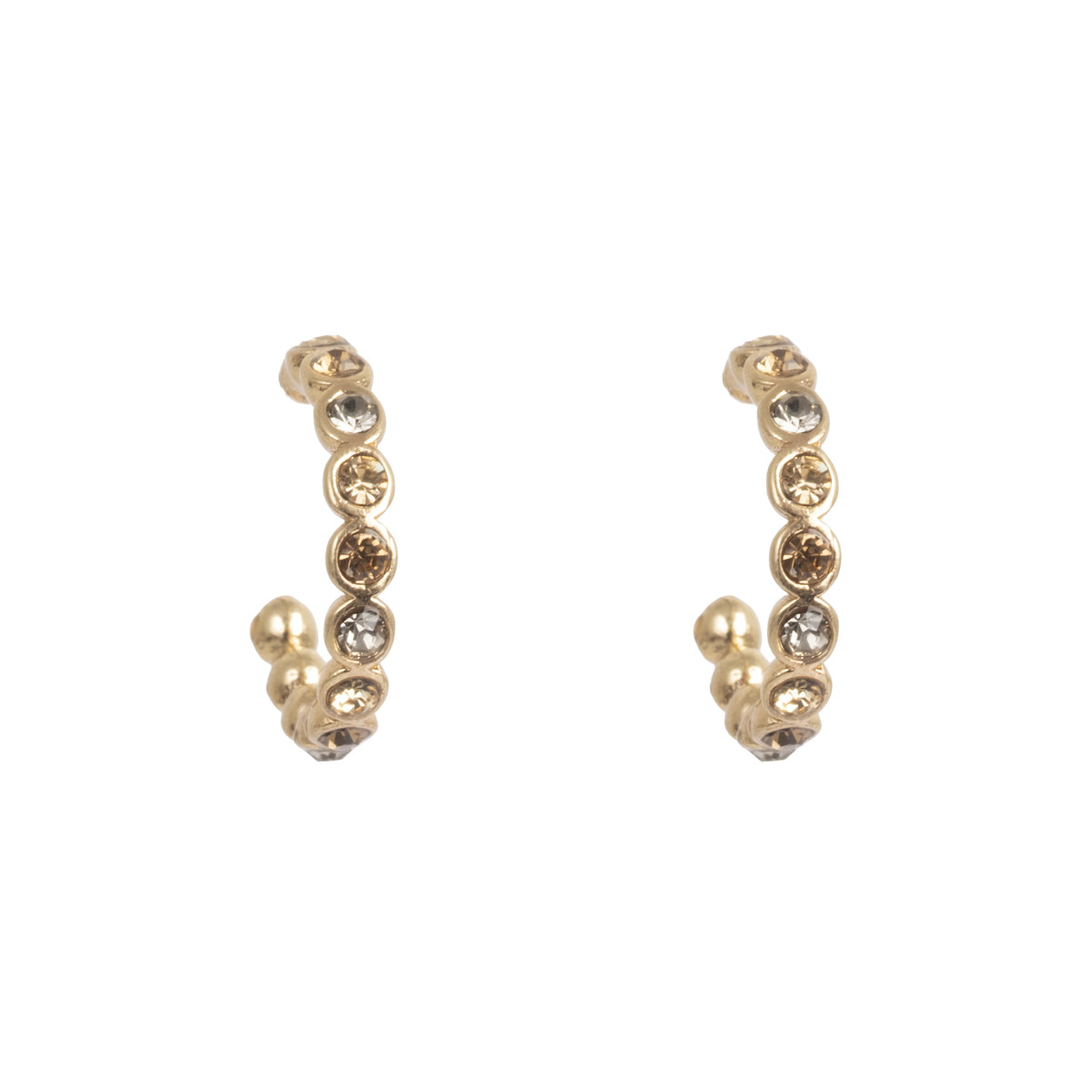 Glowing tones Earrings