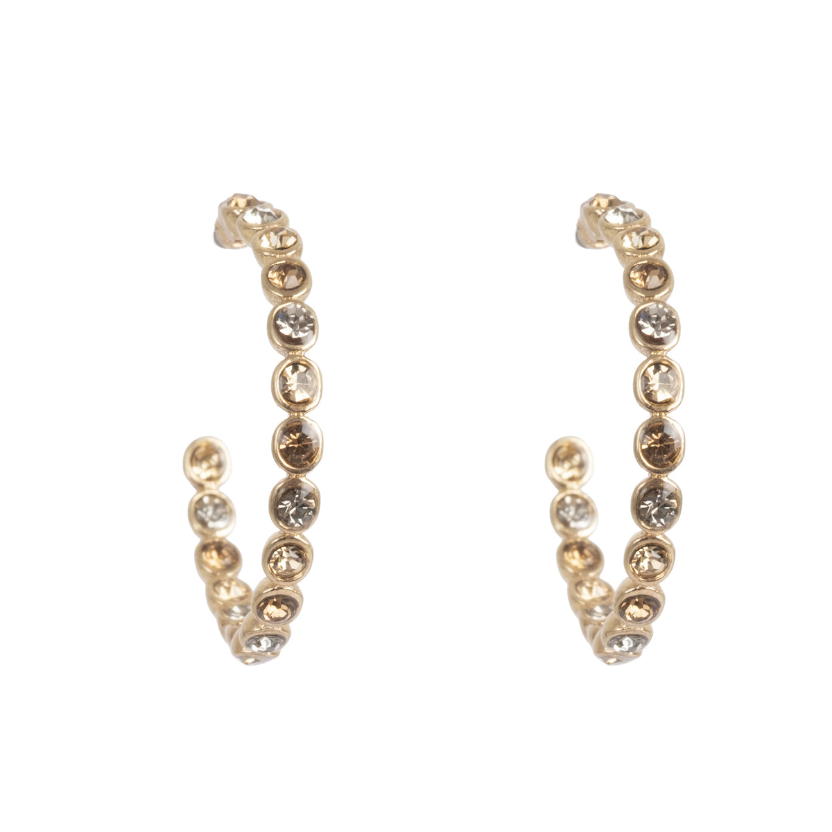 Glowing tones Earrings