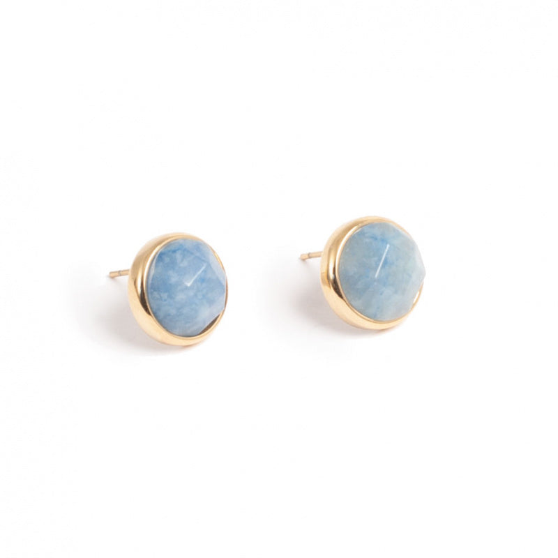 Blue tones Earrings