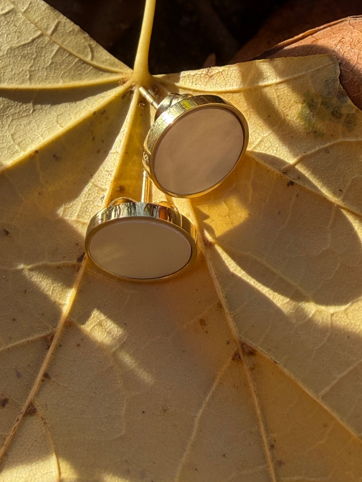 MOP Earrings 14K Gold Plated Stainless Steel