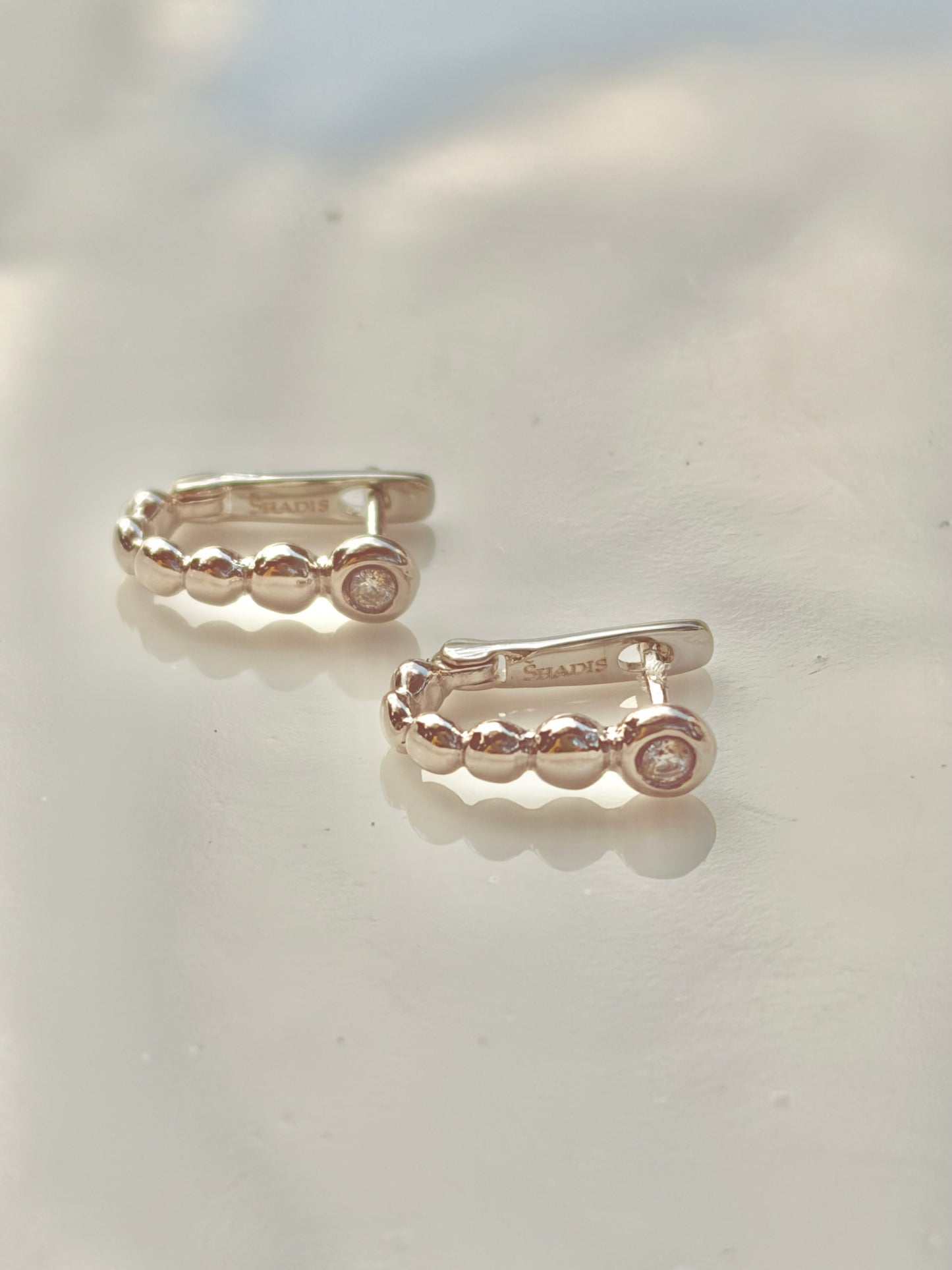 Stainless Steel Earrings with Cubic Zirconia