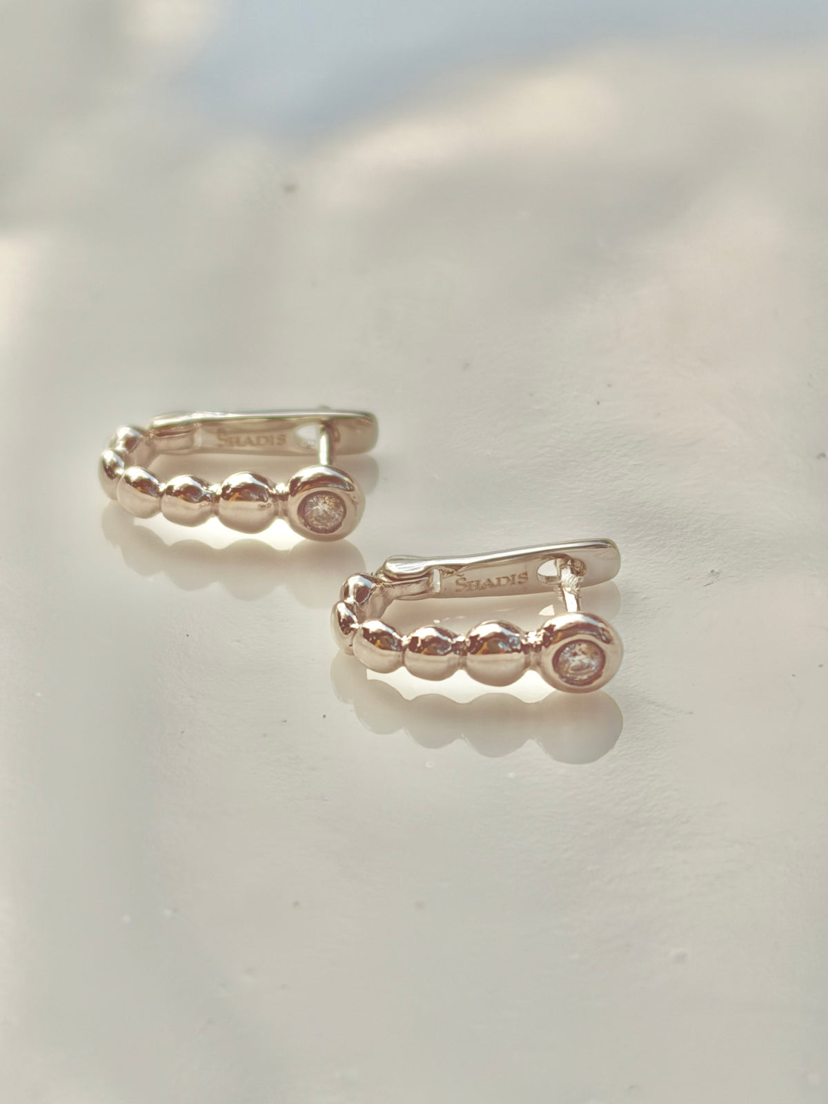 Stainless Steel Earrings with Cubic Zirconia