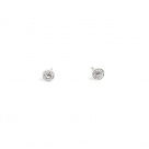 Basic Earrings