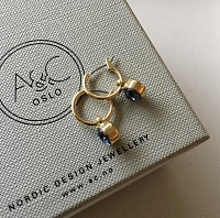 Blue tones Earrings
