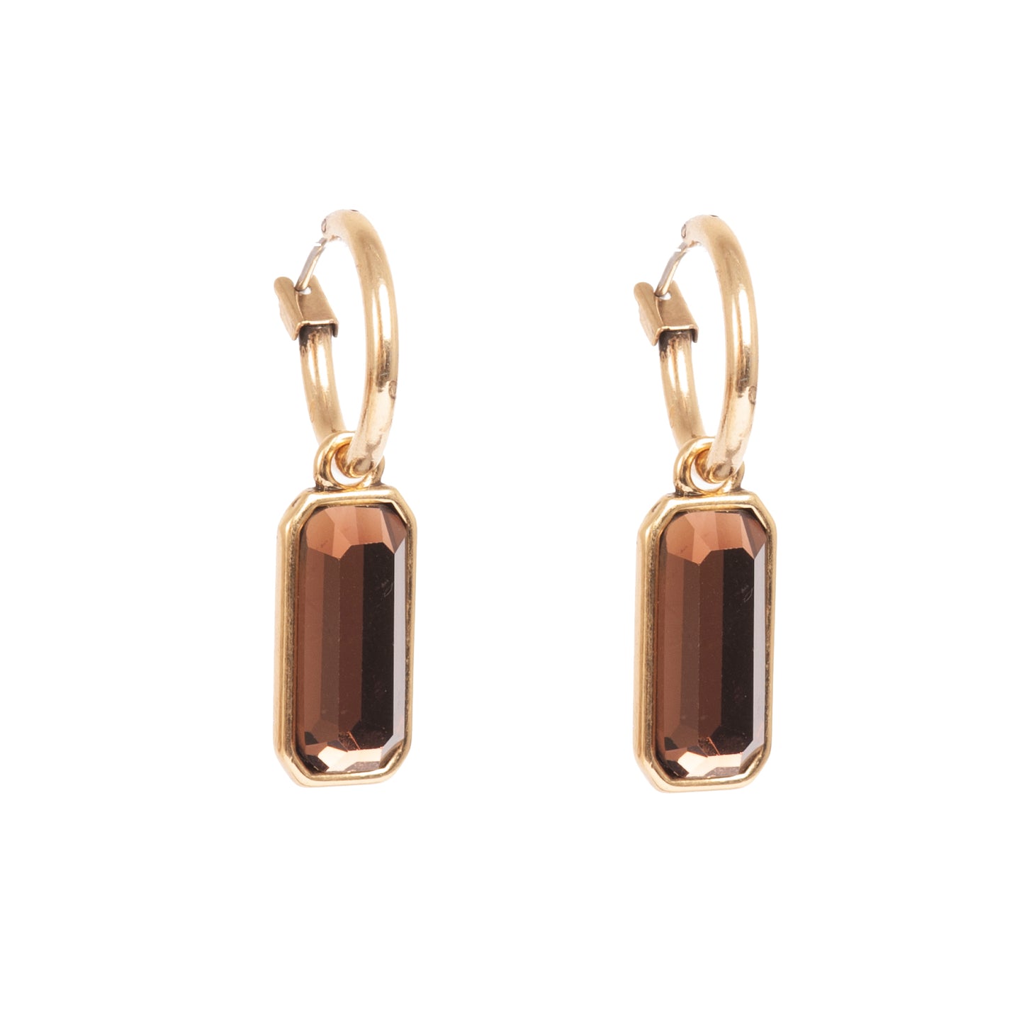 Brown tones Earrings