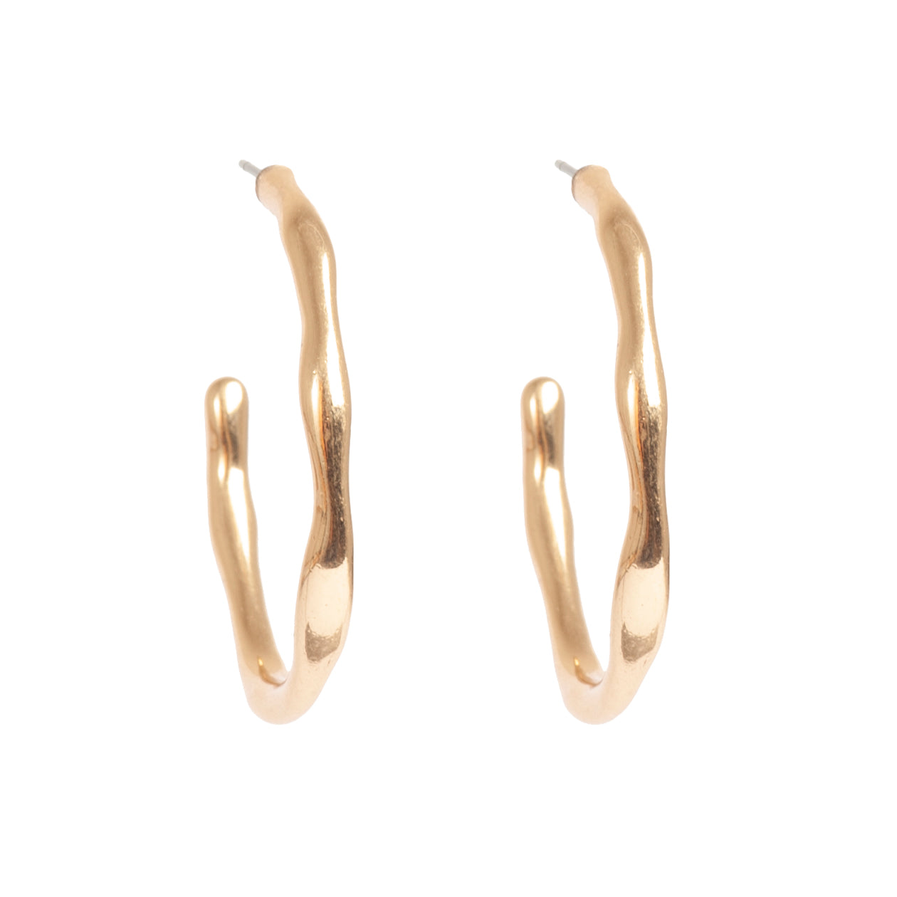 Sculptured Earrings