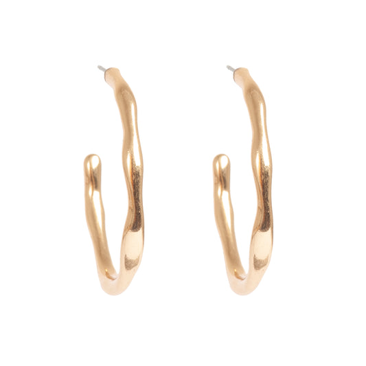 Sculptured Earrings