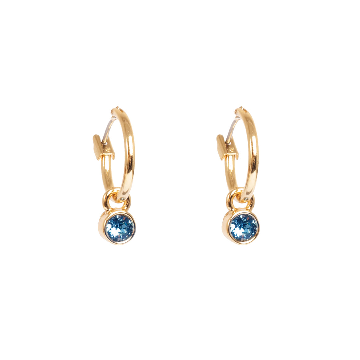 Blue tones Earrings
