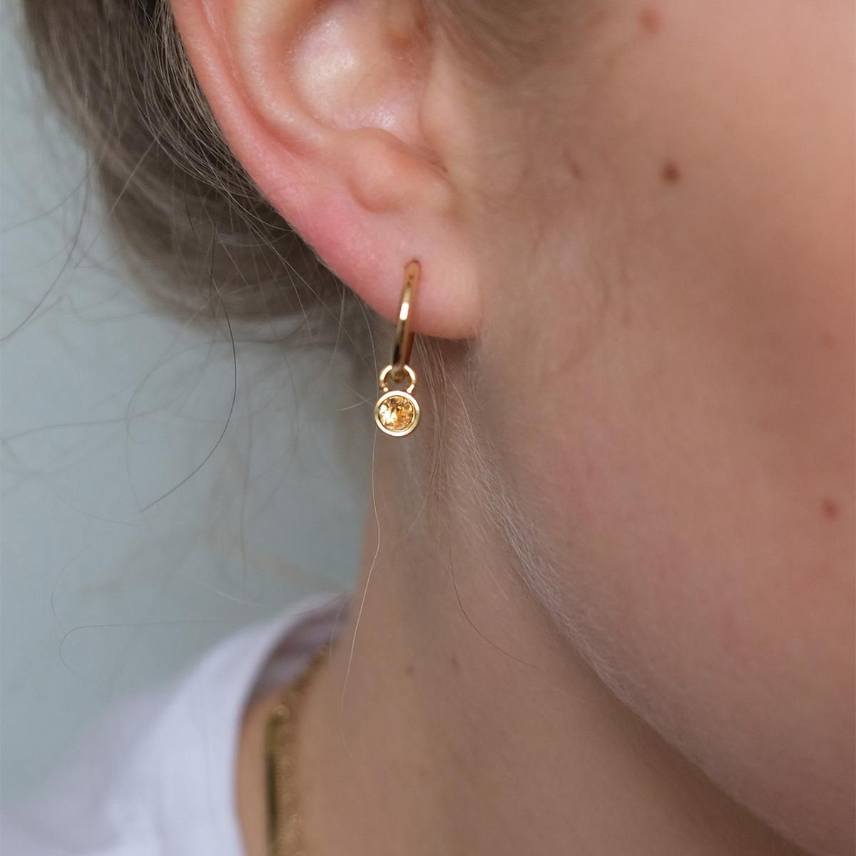 Beige tones Earrings