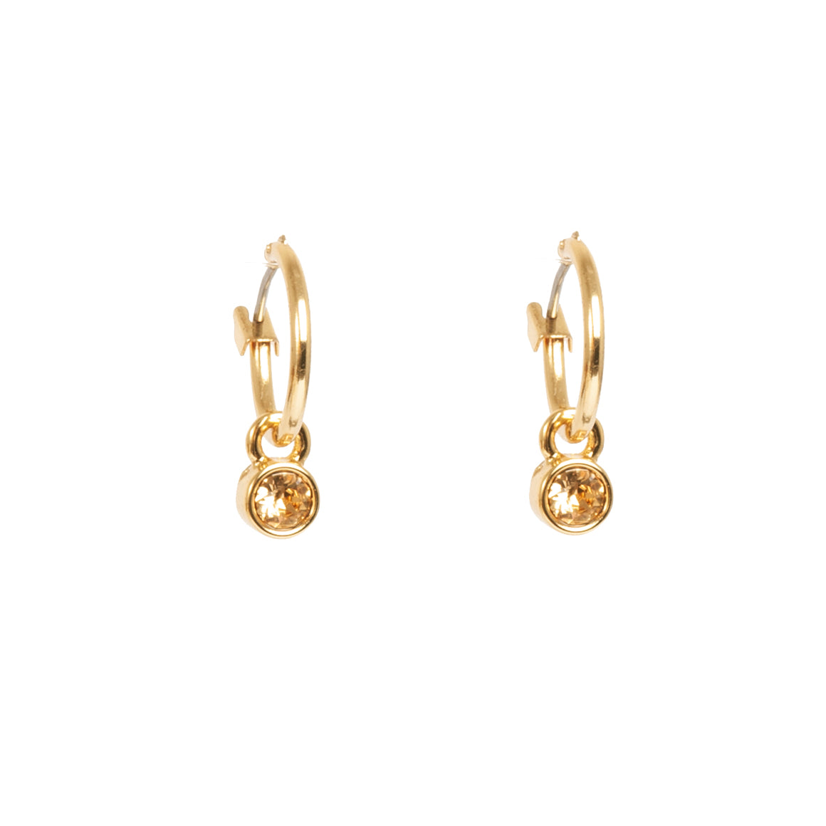 Beige tones Earrings