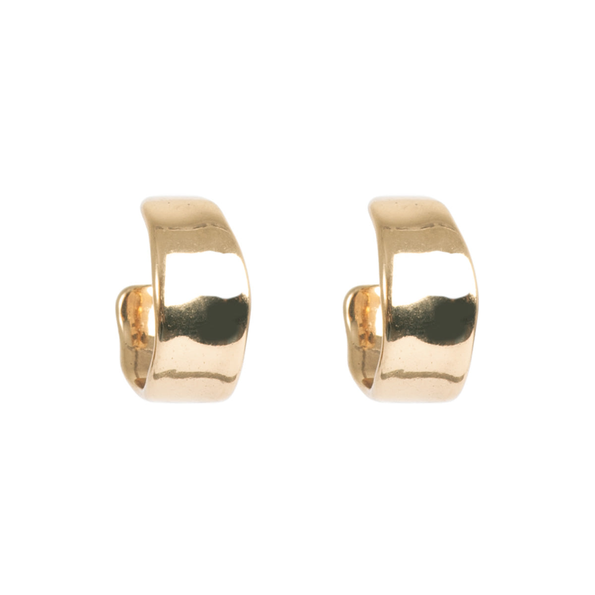Sculptured Earrings