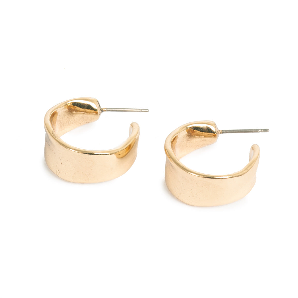 Sculptured Earrings