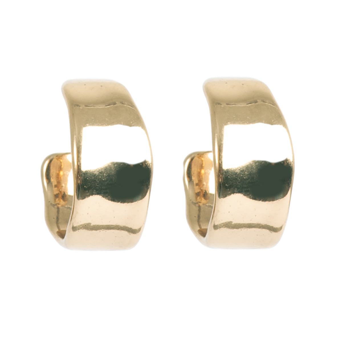 Sculptured Earrings