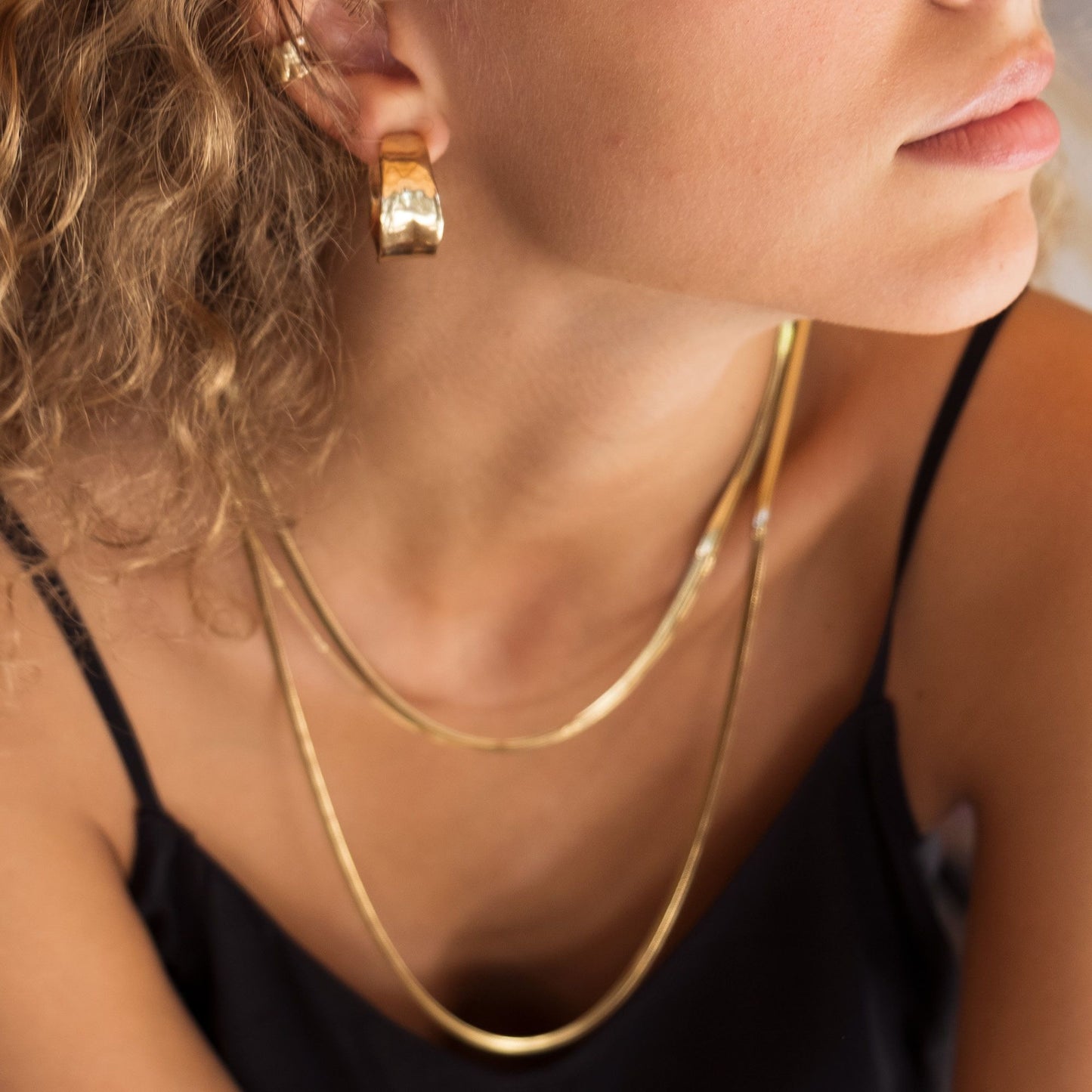 Sculptured Earrings