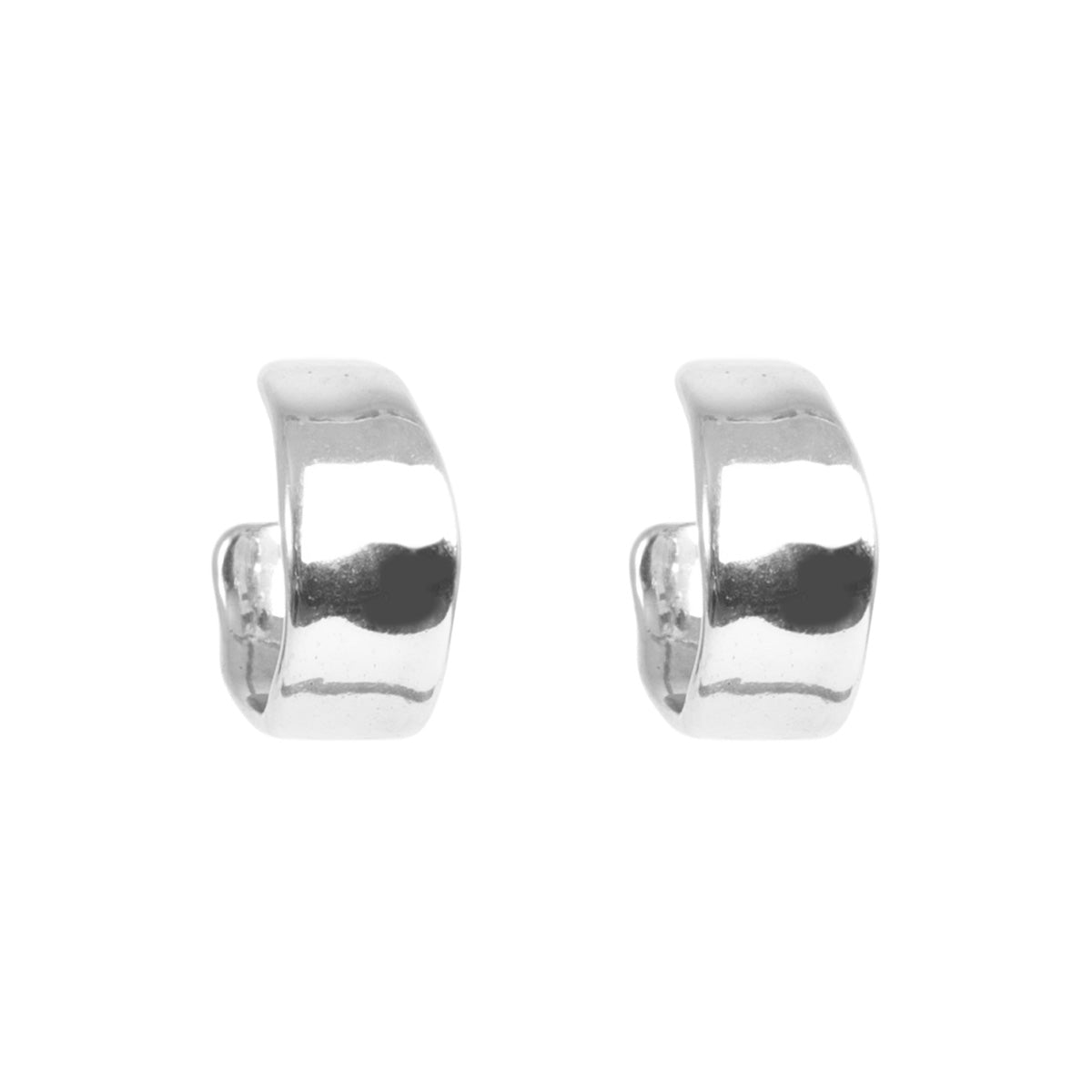 Sculptured Earrings