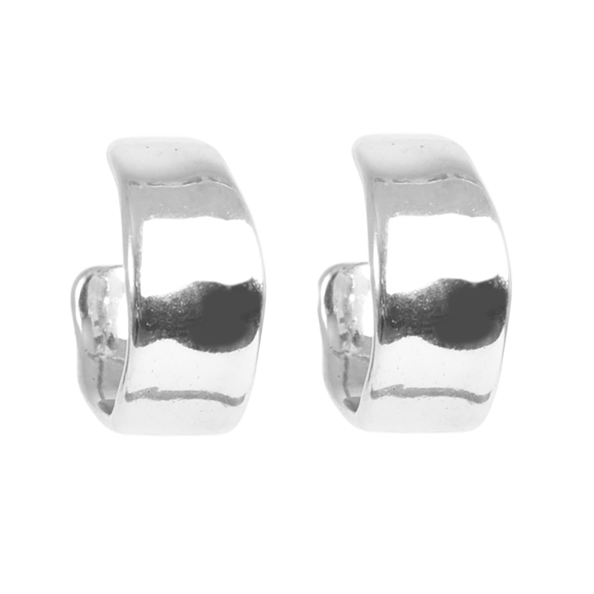 Sculptured Earrings
