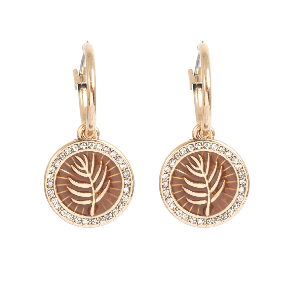 Brown tones Earrings