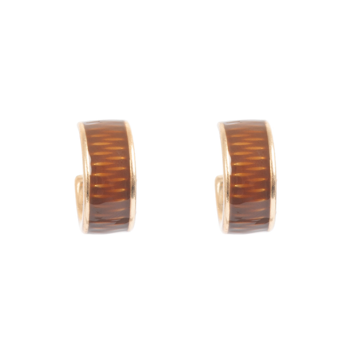 Brown tones Earrings