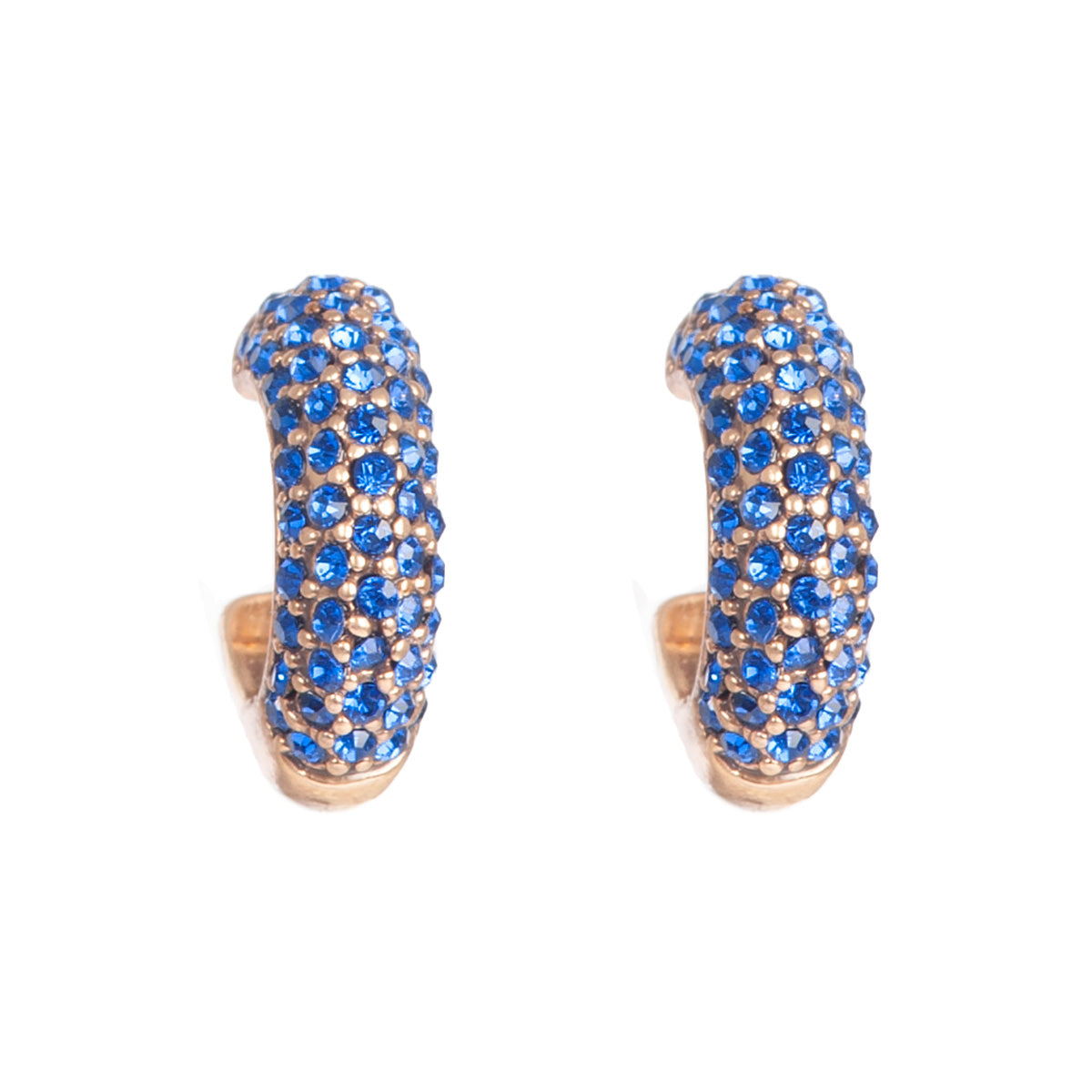 Blue tones Earrings