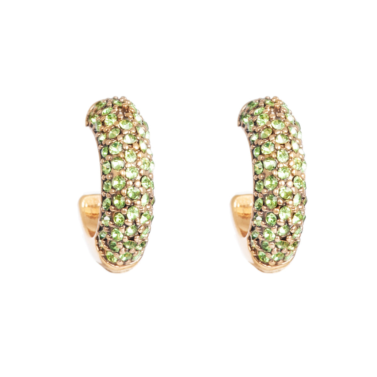 Green tones Earrings