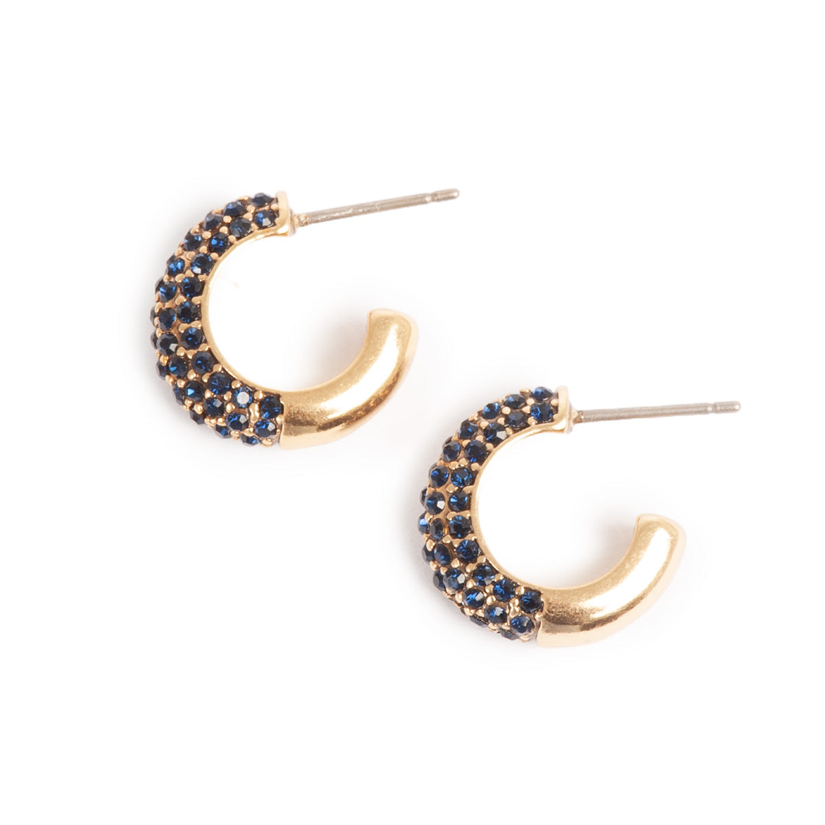 Blue tones Earrings