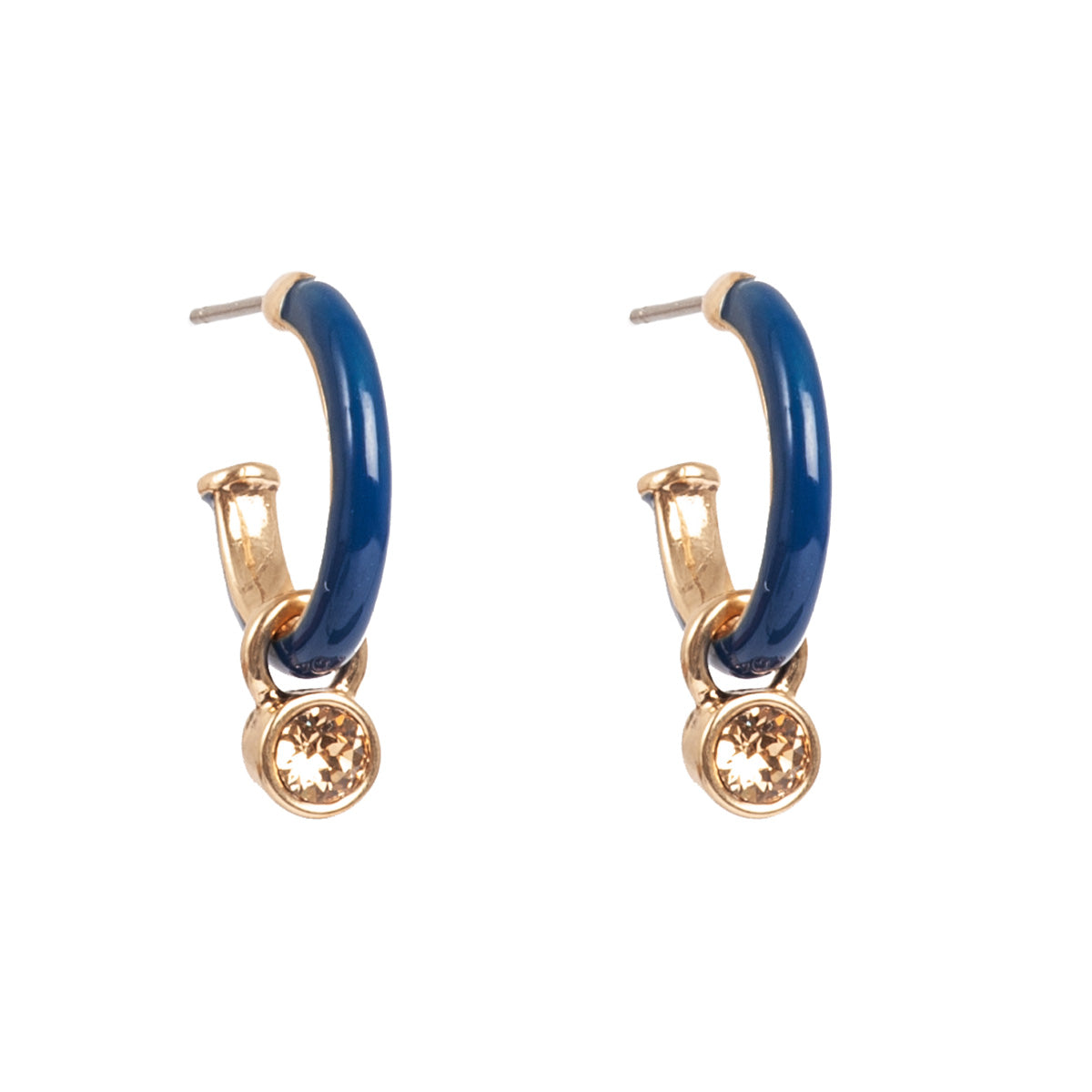 Blue tones Earrings