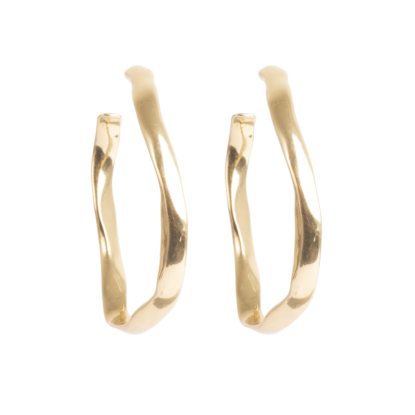 Sculptured Earrings