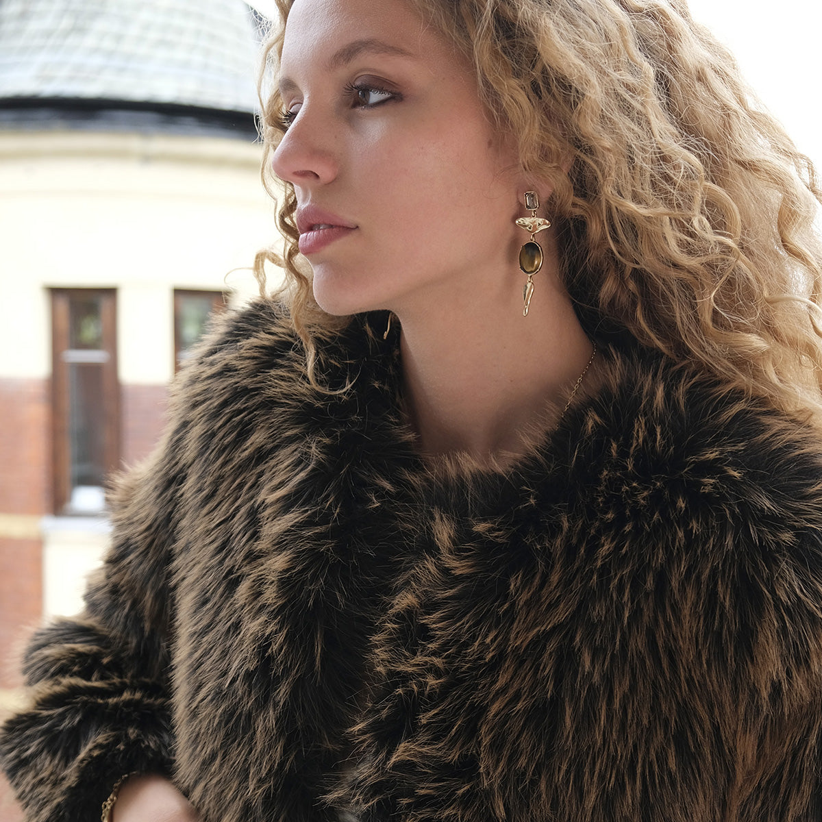 Tiger's eye Earrings