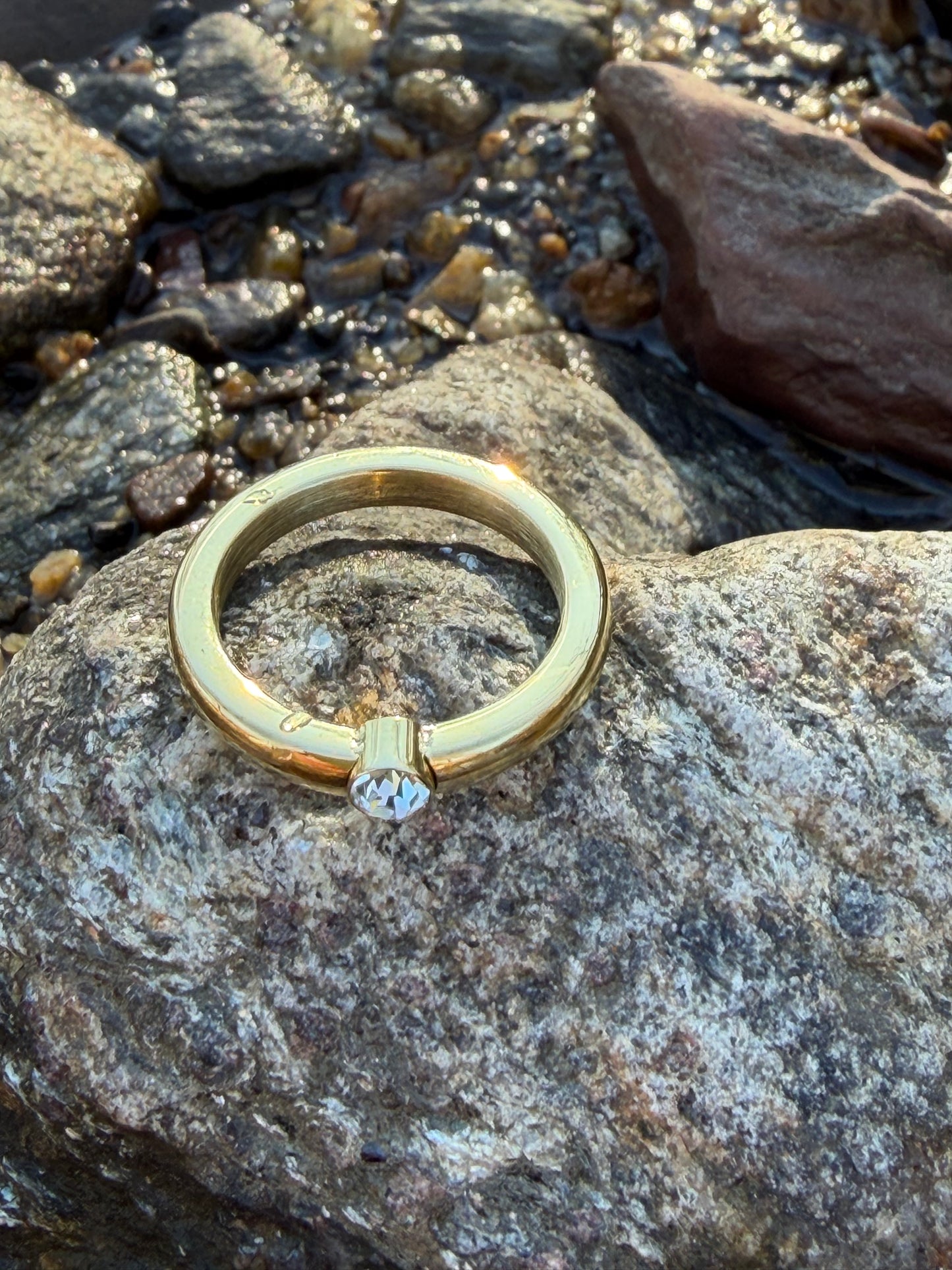 Basic Ring Stainless Steel