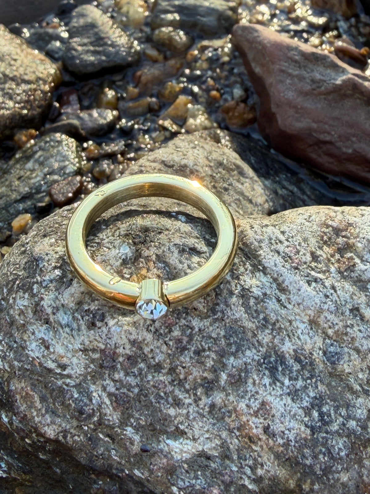 Basic Ring Stainless Steel