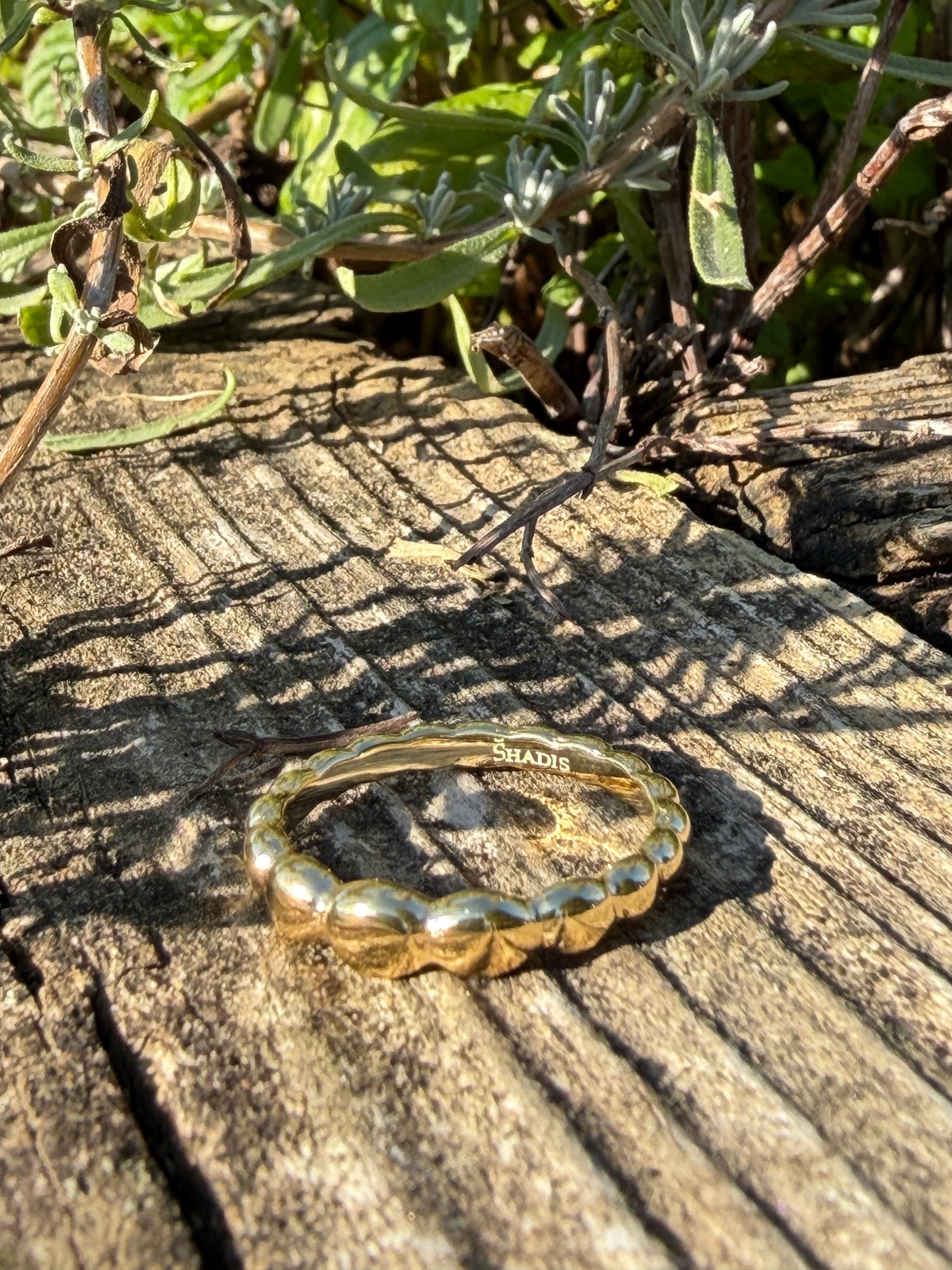 Gradient Ring Stainless Steel