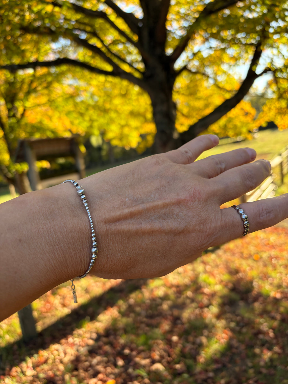 Gradient Bracelet Stainless Steel